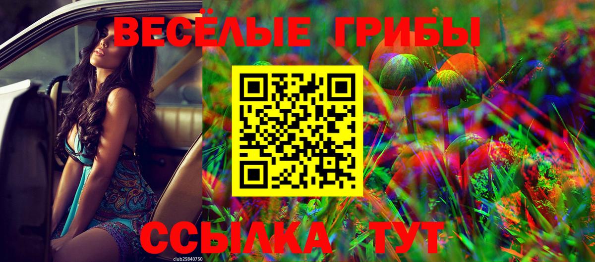 Шахты  Псилоцибиновые грибы Magic Shrooms  Вход с VPN 